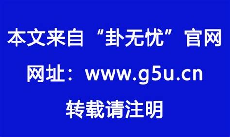 1982年五行|1982年属什么生肖的命 1982年属狗是什么命